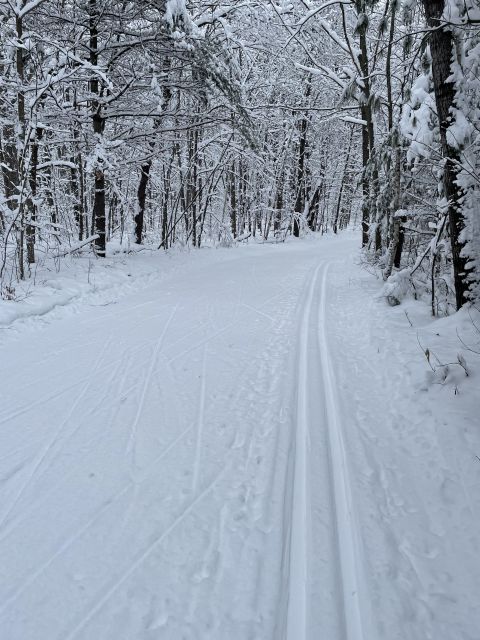 Photo Album Trail Report Balsam Branch Trails