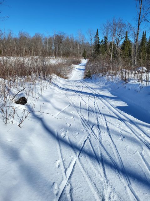 Photo Album Trail Report Jack Lake Trails