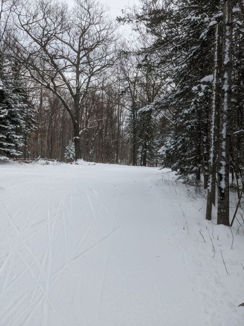 Photo Album Trail Report Michigan Tech University Ski Trails