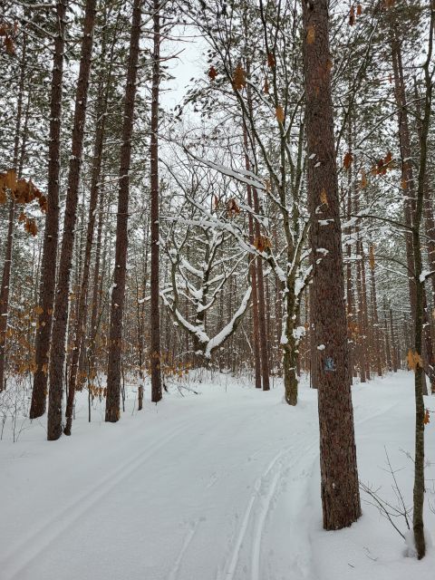 Photo Album Trail Report Pine Bowl Pathway