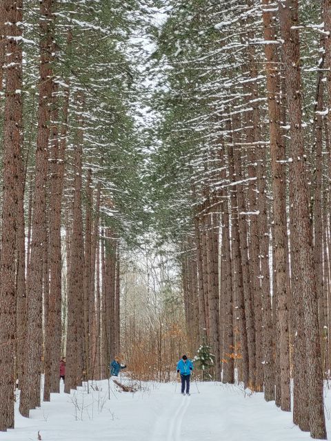 Photo Album Trail Report Pine Bowl Pathway