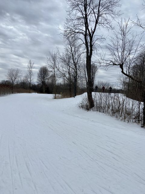 Photo Album - Trail Report: Hyland Lake Park Reserve