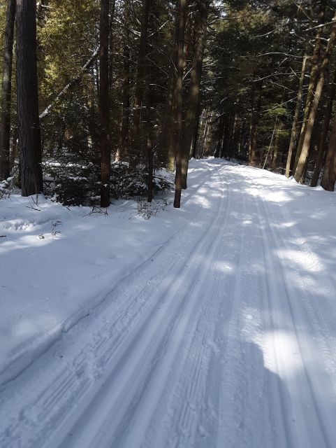 Photo Album - Trail Report: Point Beach State Forest