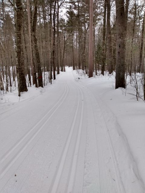 Photo Album - Trail Report: McNaughton Lake Trail