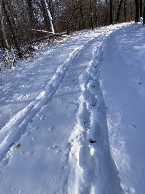 murphy hanrehan bike trail