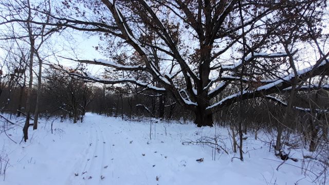 atwood park mountain bike trails