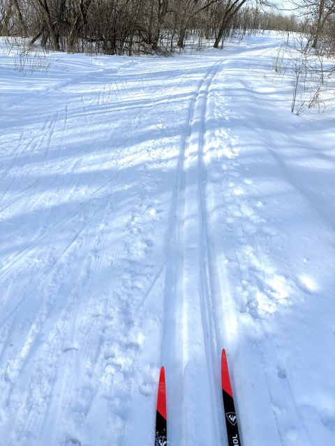 elm creek singletrack