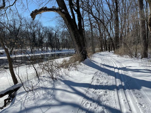 Escape to Nature's Playground: Iowa's Lime Creek State Park