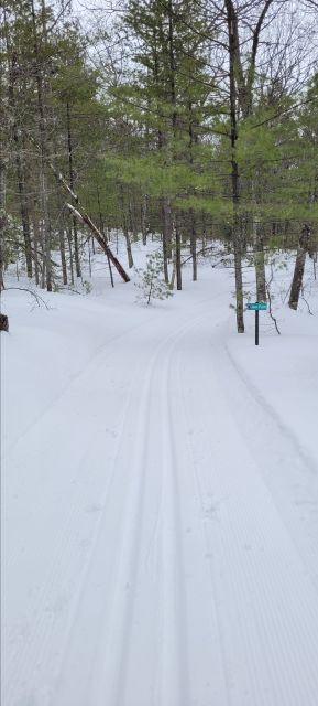 Photo Album - Trail Report: Mt. Ashwabay Ski Trails