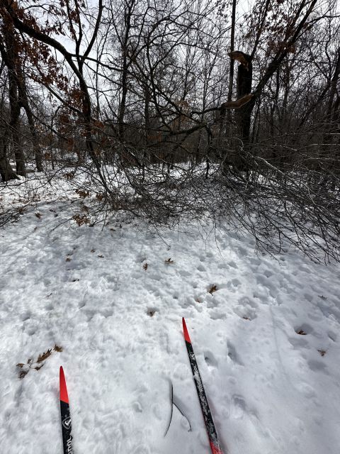 murphy hanrehan bike trail