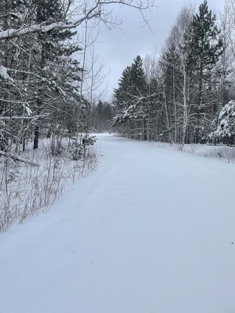 Photo Album - Trail Report: Biskey Ponds Ski Trails