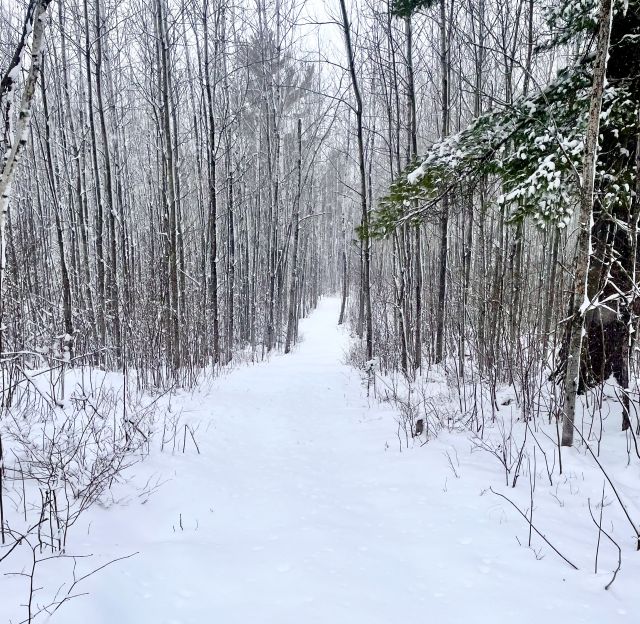 Photo Album - Trail Report: Biskey Ponds Ski Trails