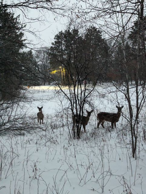 Photo Album - Trail Report: Bunker Hills Regional Park