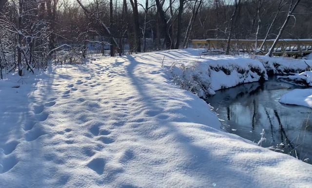 Photo Album - Trail Report: Elm Creek Park Reserve