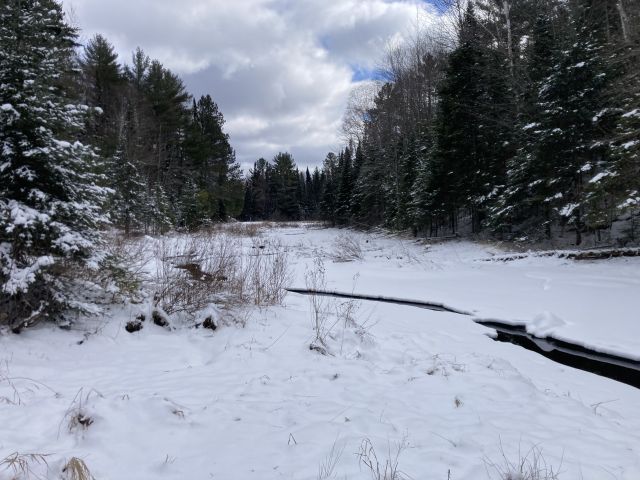 Photo Album Trail Report Minocqua Winter Park Nordic Center   TmpC69A.tmp 