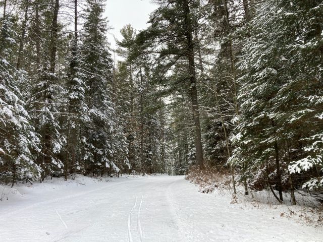 Photo Album Trail Report Minocqua Winter Park Nordic Center   TmpC6BD.tmp 